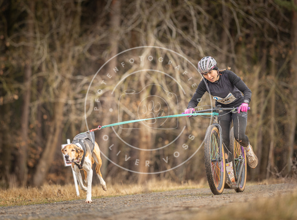 DV3A3364 | Hundefotografie, Tierfotograf, Pfotenfotografie, Fotoshooting Hund, Hunde Portrait, Hundesport, Hundeportraits, Heideshooting, Hunde, Sportfotograf, Hundefotograf, Turnierhundsport, THS,  - Realisiert mit Pictrs.com