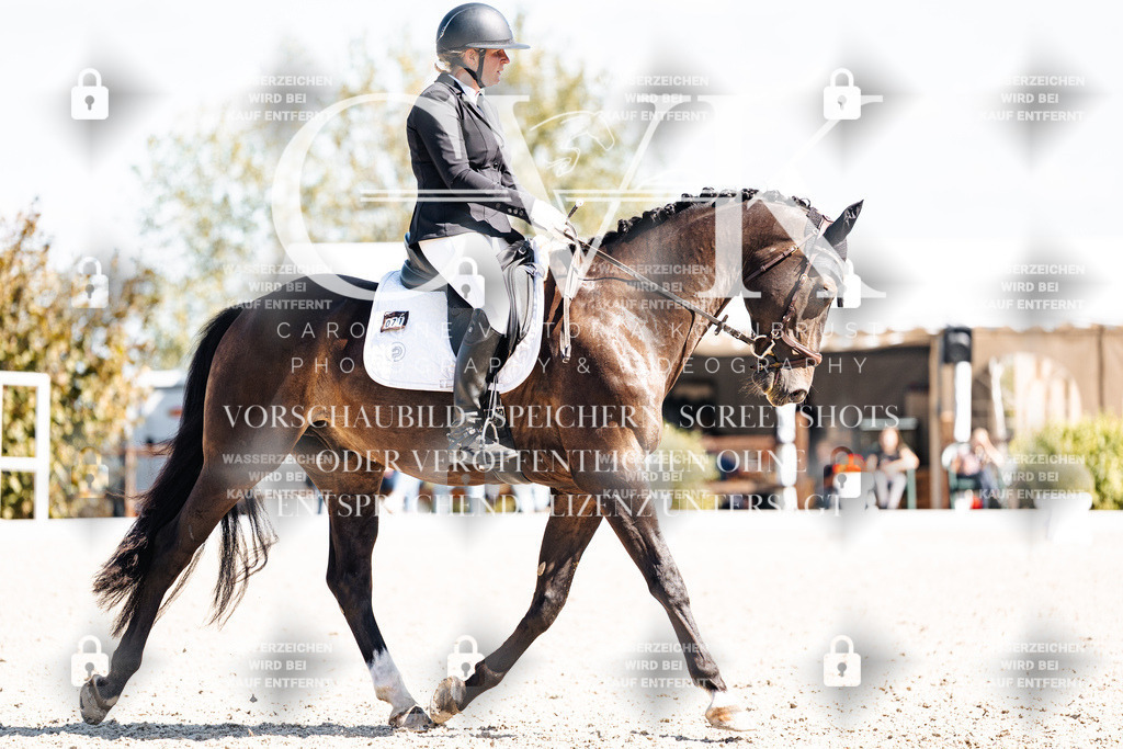 CK903540 | Turnierfotografie Pferdefotografie Trier Rheinland-Pfalz Pferdesport Reitsport Tierfotografie Sportfotografie Pferdevideo Pferdevideografie Equestrianvideography equestrianphotography  - Realisiert mit Pictrs.com