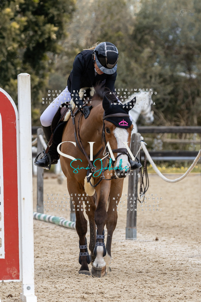 IMG_4907 | s-jay-photography - Realisiert mit Pictrs.com