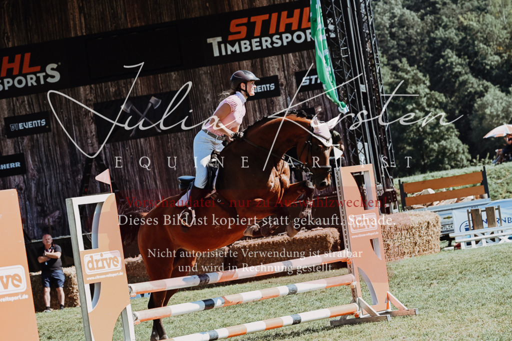 DSC_6554 | Pferde- und Turnierfotografie in Westsachsen. Pferdeportraits, Auftragszeichnungen und intuitive Kunst.