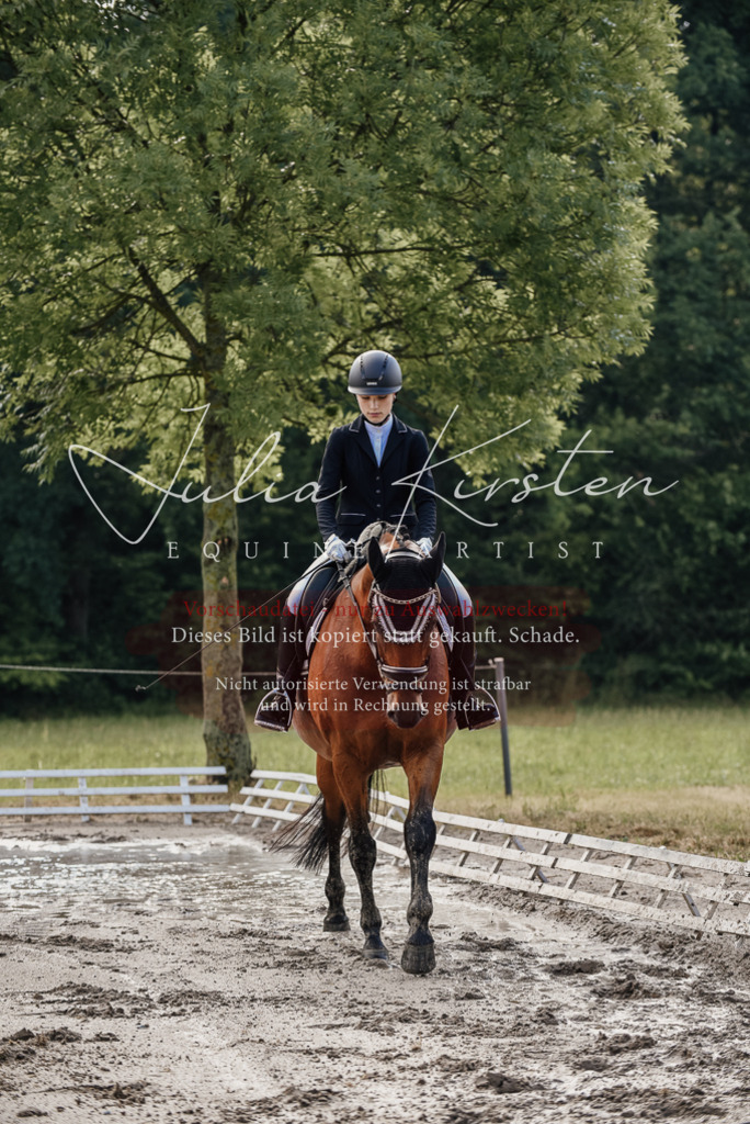 DSC_8098 | Pferde- und Turnierfotografie in Westsachsen. Pferdeportraits, Auftragszeichnungen und intuitive Kunst.