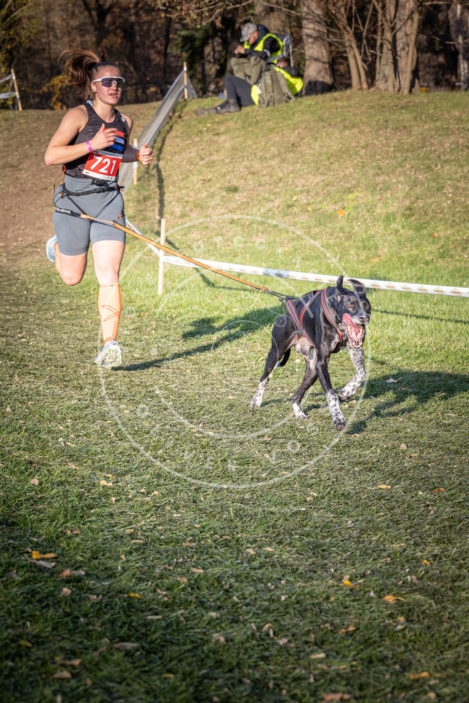 CaniXpix_0L8A9678 | Hundefotografie, Tierfotograf, Pfotenfotografie, Fotoshooting Hund, Hunde Portrait, Hundesport, Hundeportraits, Heideshooting, Hunde, Sportfotograf, Hundefotograf, Turnierhundsport, THS,  - Realisiert mit Pictrs.com