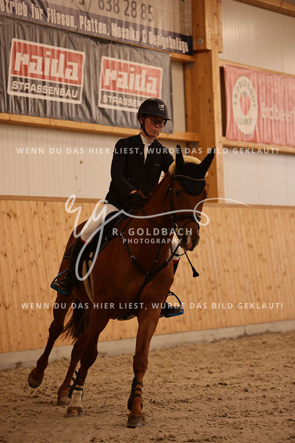 1J2A3510Annelen Heinrich_ Come on Cero_ Kn154_ Hohen Wieschendorf_ Glantz | Foto- und Videografie für alles rund ums Pferd. Hochwertige Bilder und Videos vom Spring- und Dressurreiten, Voltigieren & mehr. Jetzt aktuelle Veranstaltungen und Preise im Shop ansehen. - Realisiert mit Pictrs.com