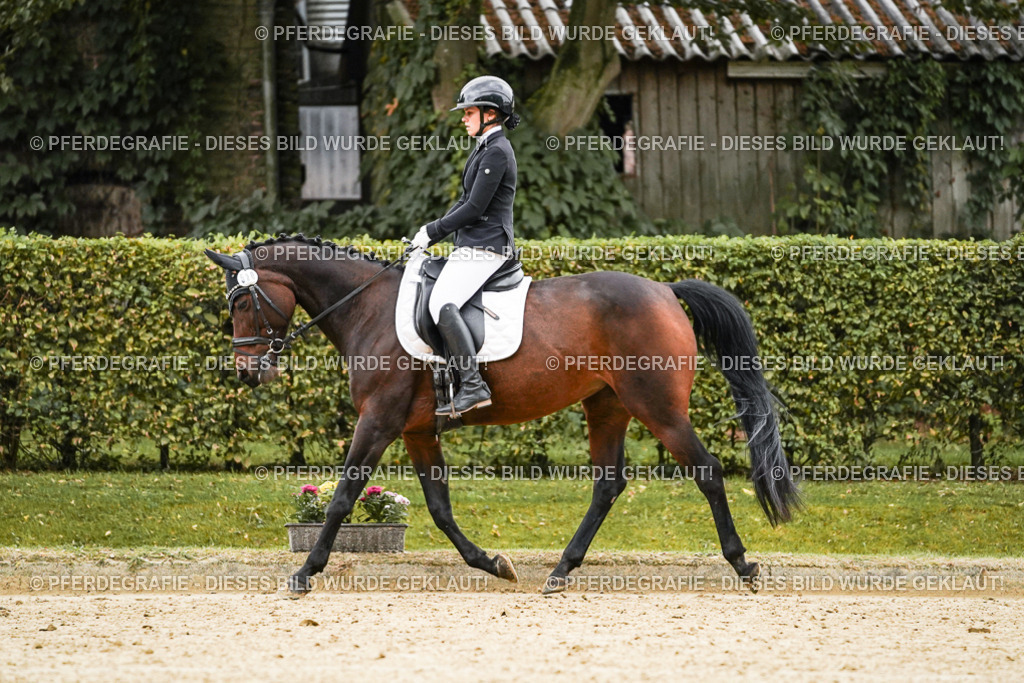 DSC07023 | Pferdegrafie