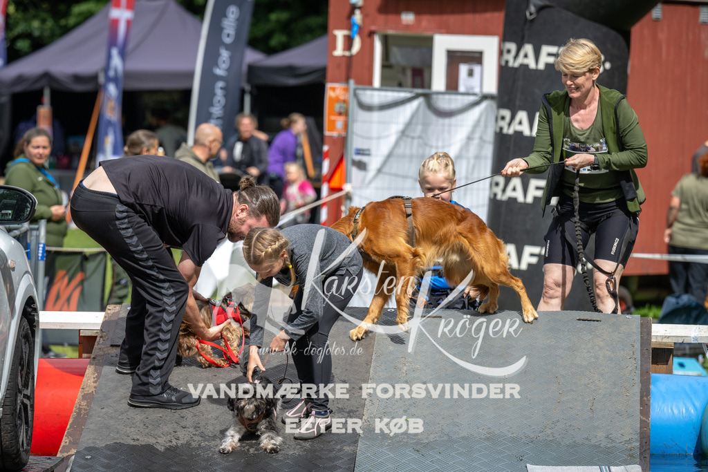 1435_ZZ91474 | kk-dogfotos