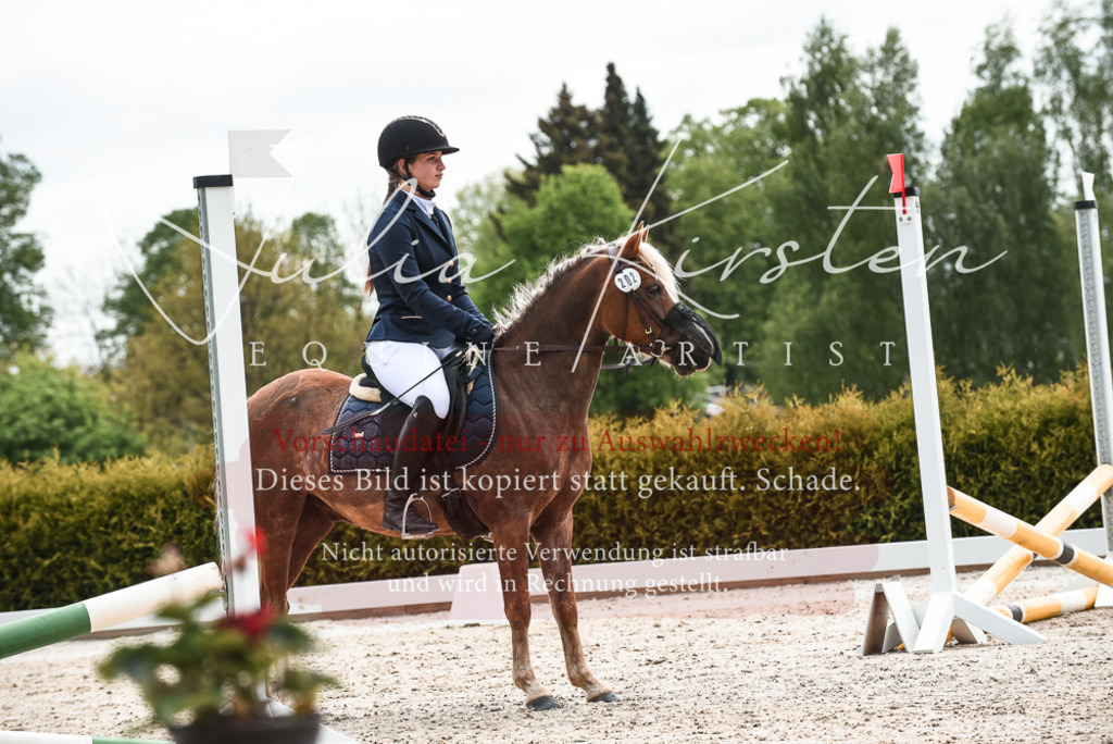 20230518_JK-Röhrsdorf-10-302 | Pferde- und Turnierfotografie in Westsachsen. Pferdeportraits, Auftragszeichnungen und intuitive Kunst.