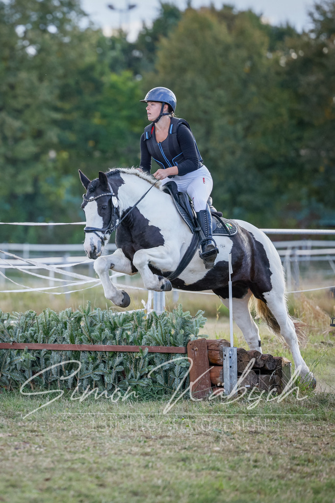 20250905-_3LI2139 | Tierfotografie Pferde, Hunde, Katzen, Haustiere.
Turnierfotografie Reitturniere, Reiten, Springreiten, Dressur in Hanau, dem Main-Kinzig-Kreis und dem Rhein-Main- Gebiet um Frankfurt