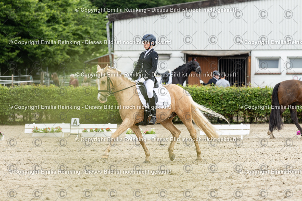 CL5A9650 | Emilia Reinking Fotografie - Realisiert mit Pictrs.com