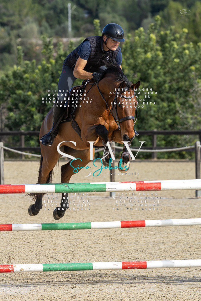 IMG_4630 | s-jay-photography - Realisiert mit Pictrs.com