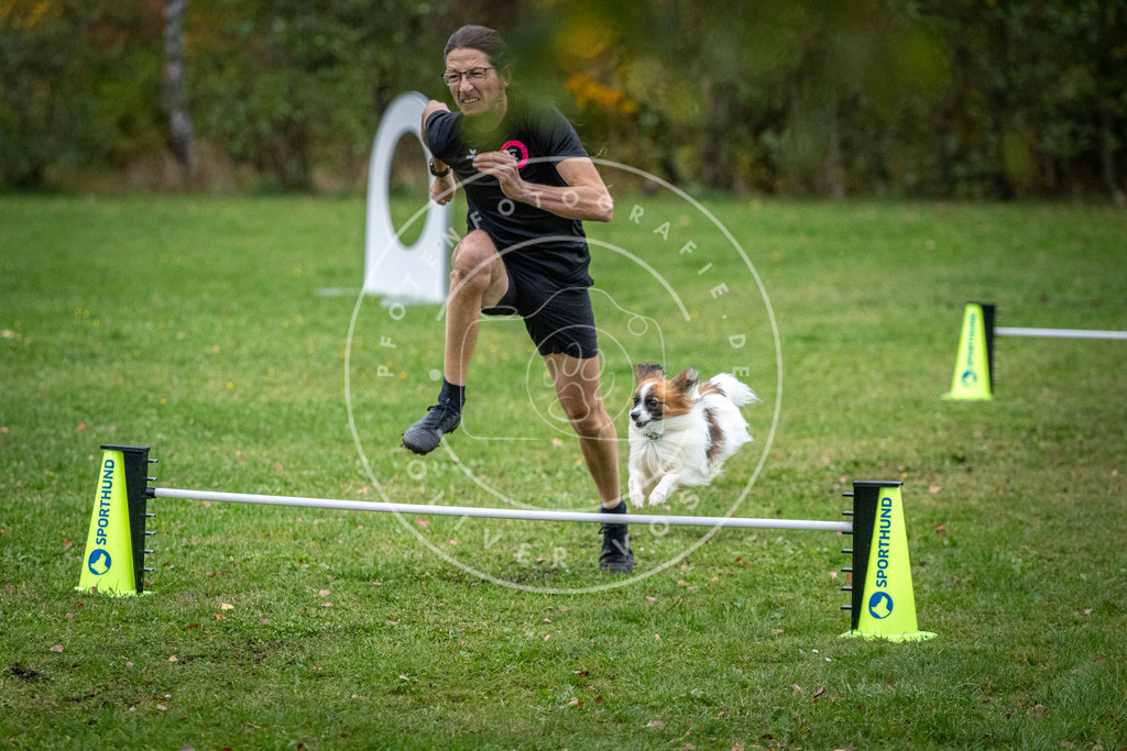 Pfotenfotografie_DV3A1540 | Hundefotografie, Tierfotograf, Pfotenfotografie, Fotoshooting Hund, Hunde Portrait, Hundesport, Hundeportraits, Heideshooting, Hunde, Sportfotograf, Hundefotograf, Turnierhundsport, THS,  - Realisiert mit Pictrs.com