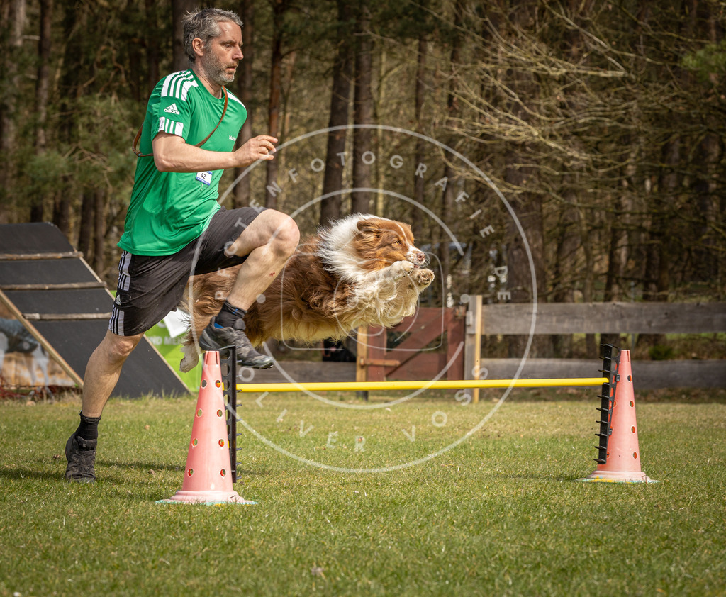 Pfotenfotografie_DV3A6651 | Hundefotografie, Tierfotograf, Pfotenfotografie, Fotoshooting Hund, Hunde Portrait, Hundesport, Hundeportraits, Heideshooting, Hunde, Sportfotograf, Hundefotograf, Turnierhundsport, THS,  - Realisiert mit Pictrs.com