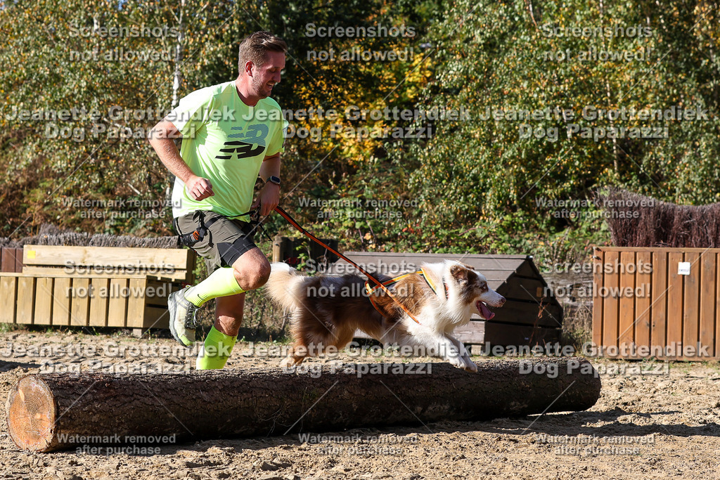 Dog Paparazzi - Strongdog 10-25-4739 | Dog Paparazzi Jeanette Grottendiek Fotografie & Videografie - Realisiert mit Pictrs.com