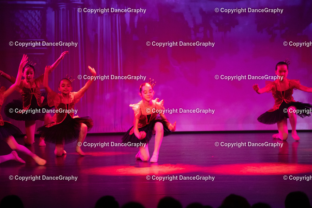 GPHY2146 | DanceGraphy - Realisiert mit Pictrs.com