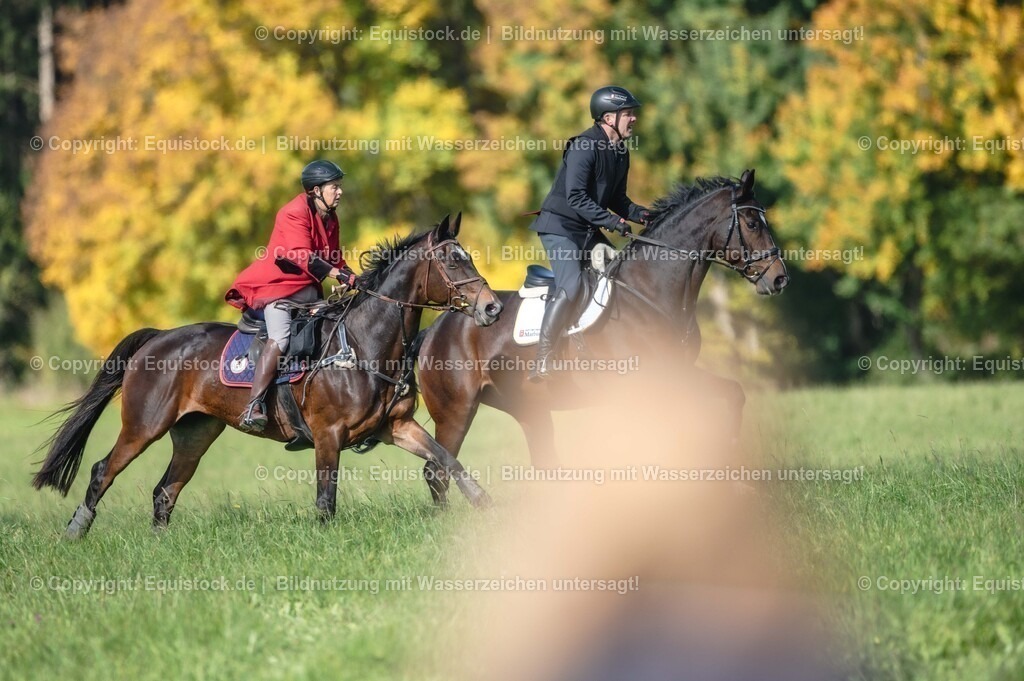 20251011_Jagd-Marbach_0211 | Foto: Thomas Hartig