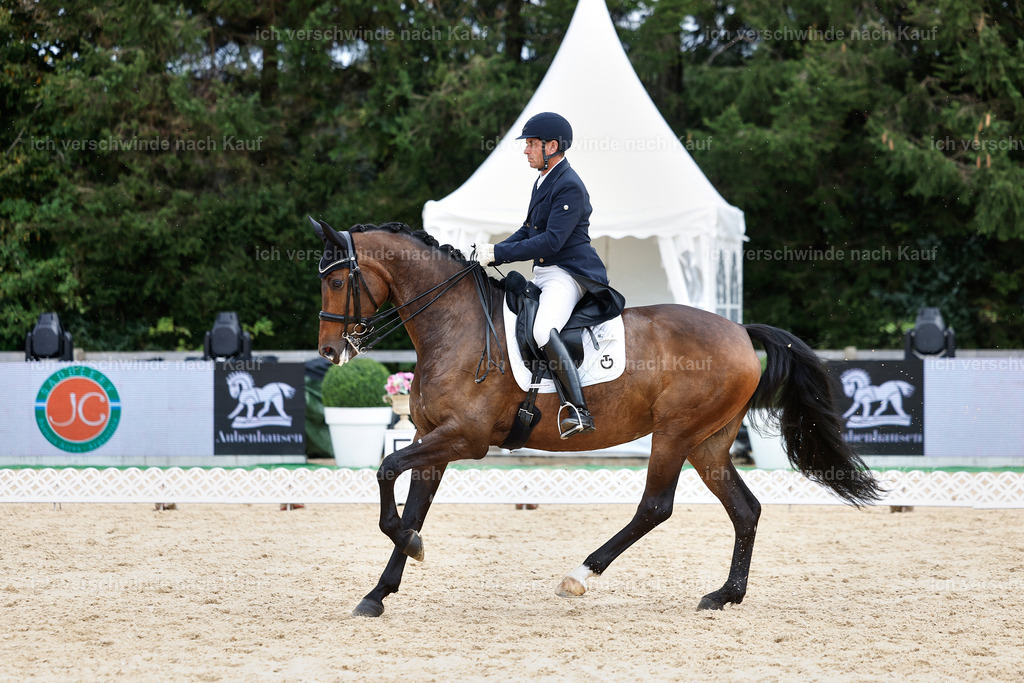 11-226-Dressur S___-StoibPH-1019 | working equitationturnier fotograf videograf stoibphotography marixx film working equitation deutschland reitsport turnierfotografie eventfotografie equestrian events