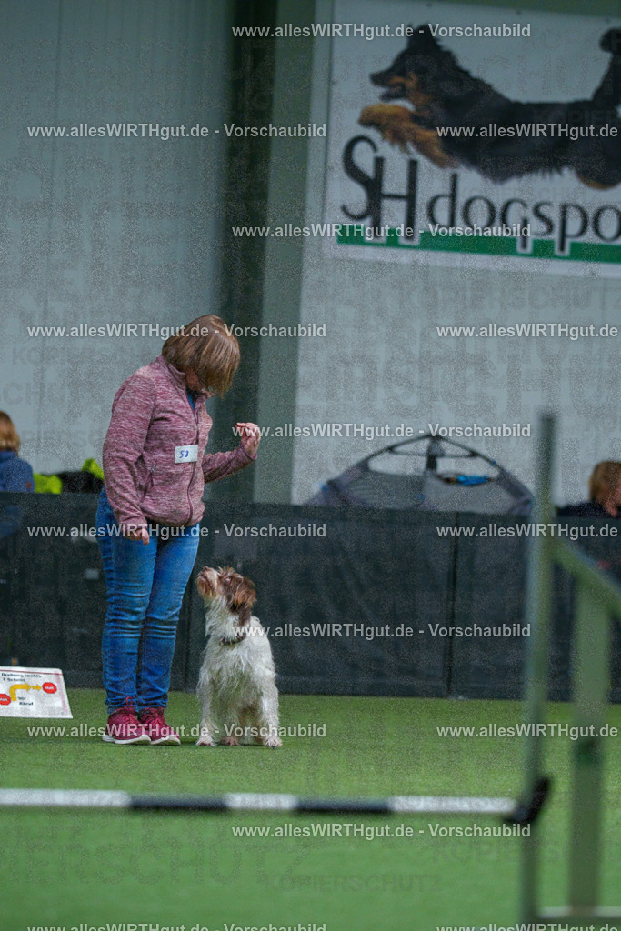 7R502218 | Professionelle Tierfotografie in Mönchengladbach von Daniel Wirth (allesWIRTHgut). Liebevolle & natürliche Bilder von Hunden & Katzen für unvergessliche Erinnerungen.