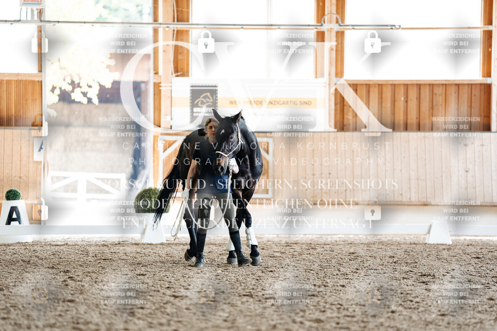 CK908067 | Turnierfotografie Pferdefotografie Trier Rheinland-Pfalz Pferdesport Reitsport Tierfotografie Sportfotografie Pferdevideo Pferdevideografie Equestrianvideography equestrianphotography  - Realisiert mit Pictrs.com