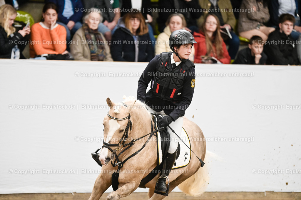 20260307_Hengstvorstellung-Marbach_0402 | equistock