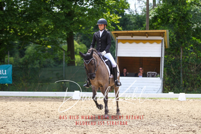 DKP42263 | Turniersportfotografie; Pferdefotografie; Dressurfotografie