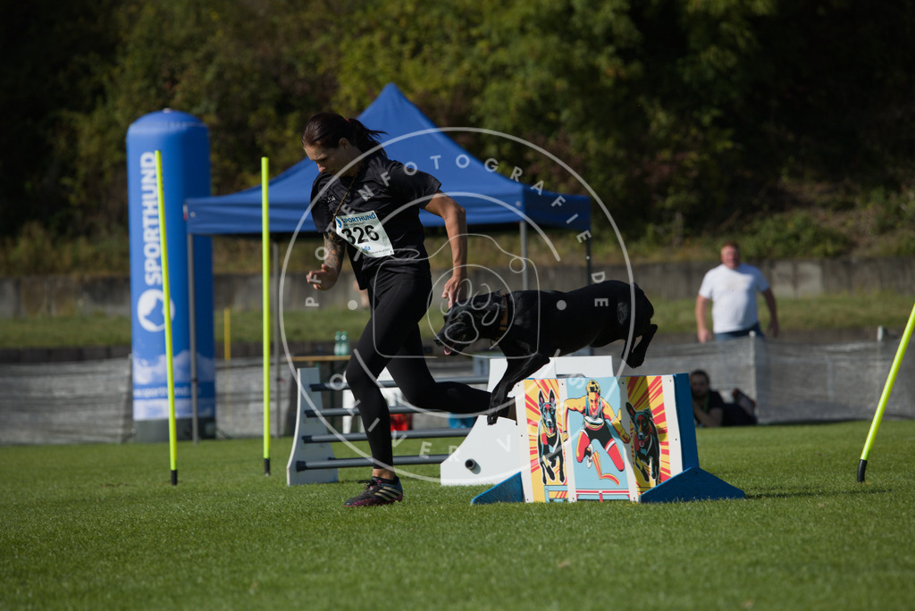 0L8A8285 | Hundefotografie, Tierfotograf, Pfotenfotografie, Fotoshooting Hund, Hunde Portrait, Hundesport, Hundeportraits, Heideshooting, Hunde, Sportfotograf, Hundefotograf, Turnierhundsport, THS,  - Realisiert mit Pictrs.com