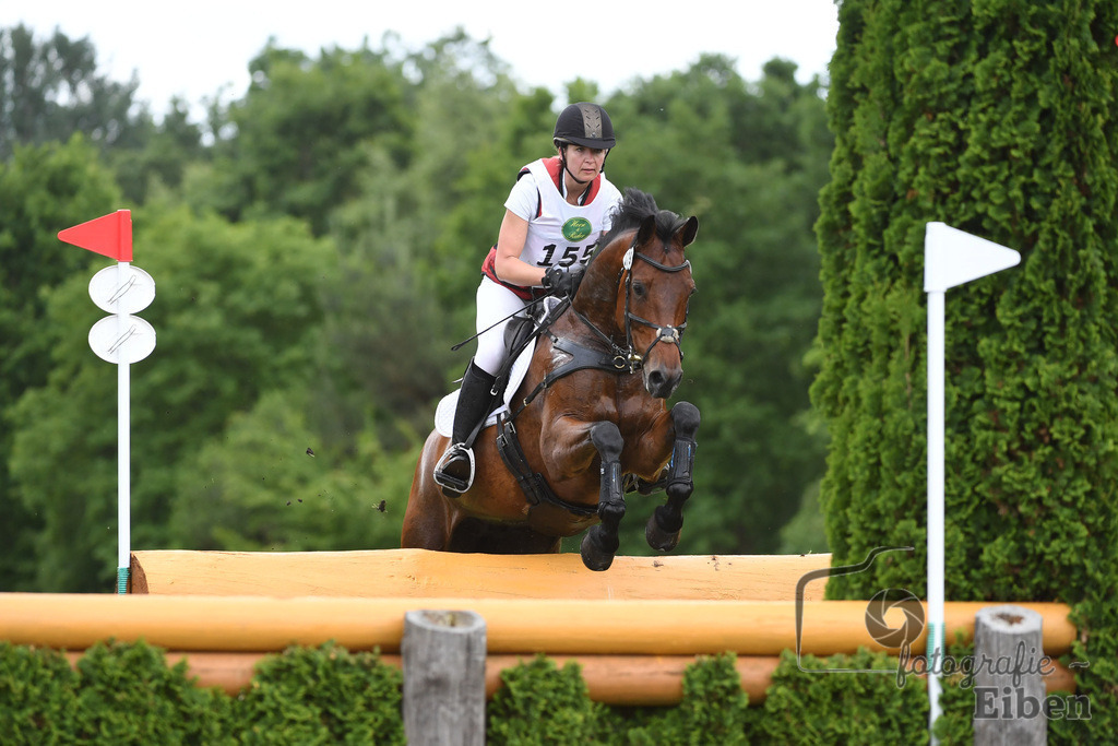 Ammerländer Reitclub, Horse Trials | Gelände, Klasse CCI3*-S; Ammerländer Reitclub, Horse Trials am 06.06.2025 in Fikensolt (Reitanlage ), Deutschland, Photo: Philip Eiben 2024 - Realisiert mit Pictrs.com