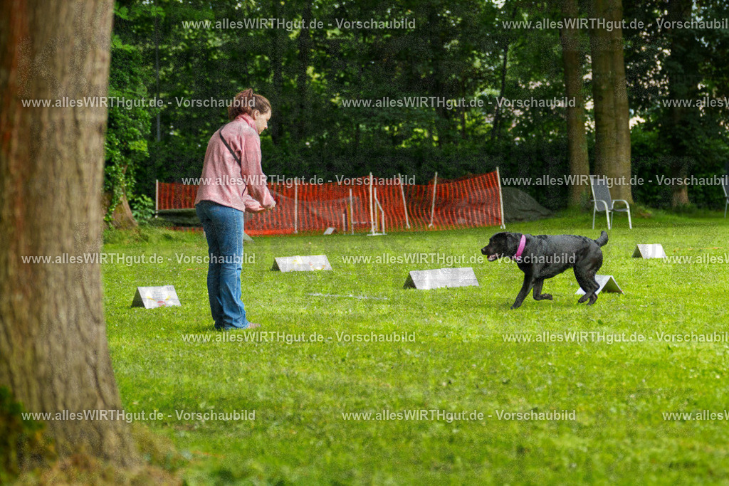 @allesWIRTHgut_Tierfotografie - www.allesWIRTHgut.de - 7R503138 | Professionelle Tierfotografie in Mönchengladbach von Daniel Wirth (allesWIRTHgut). Liebevolle & natürliche Bilder von Hunden & Katzen für unvergessliche Erinnerungen.