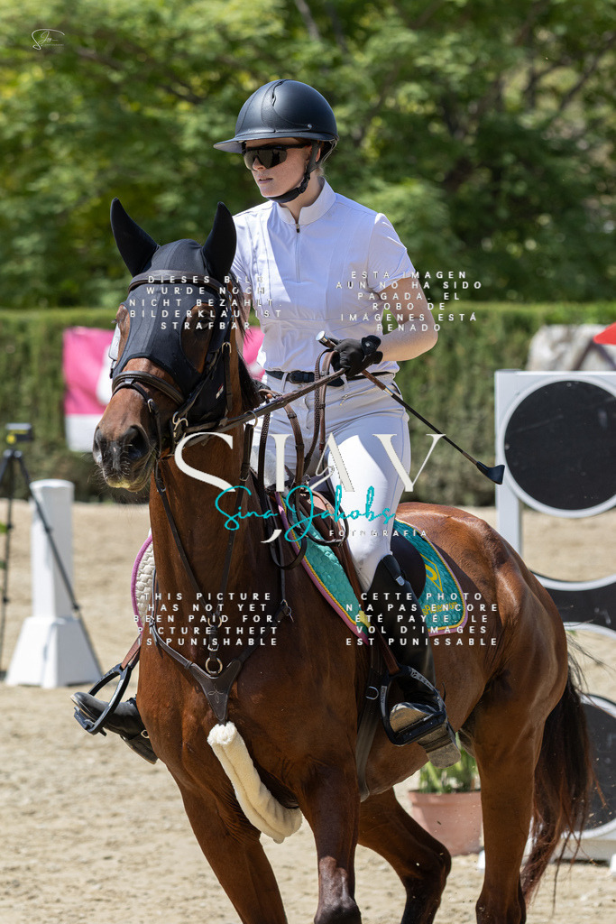 IMG_0642 | s-jay-photography - Realisiert mit Pictrs.com