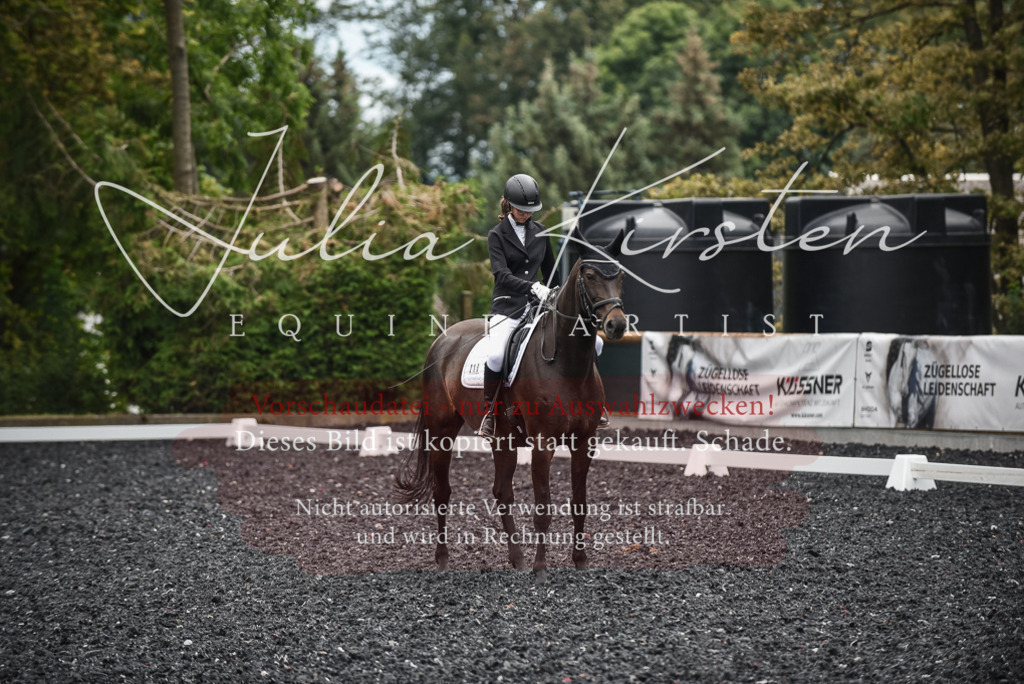 DSC_4661 | Pferde- und Turnierfotografie in Westsachsen. Pferdeportraits, Auftragszeichnungen und intuitive Kunst.