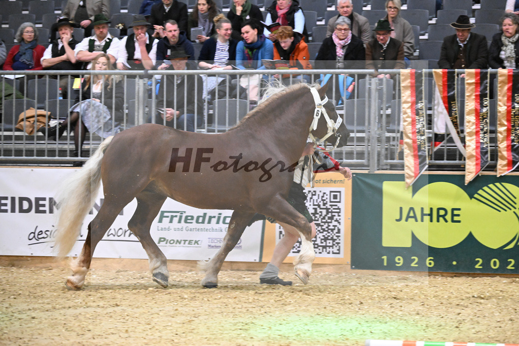 Kat-Nr. 6 Rockstar v. Rusty_Stadler_1260109 | hf-fotografie - Realisiert mit Pictrs.com