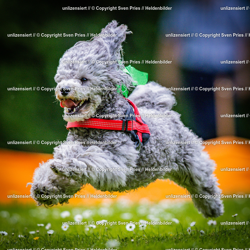 Sven Pries | 2025-05-29 - Pudelrennen KA-Durlach - Realisiert mit Pictrs.com