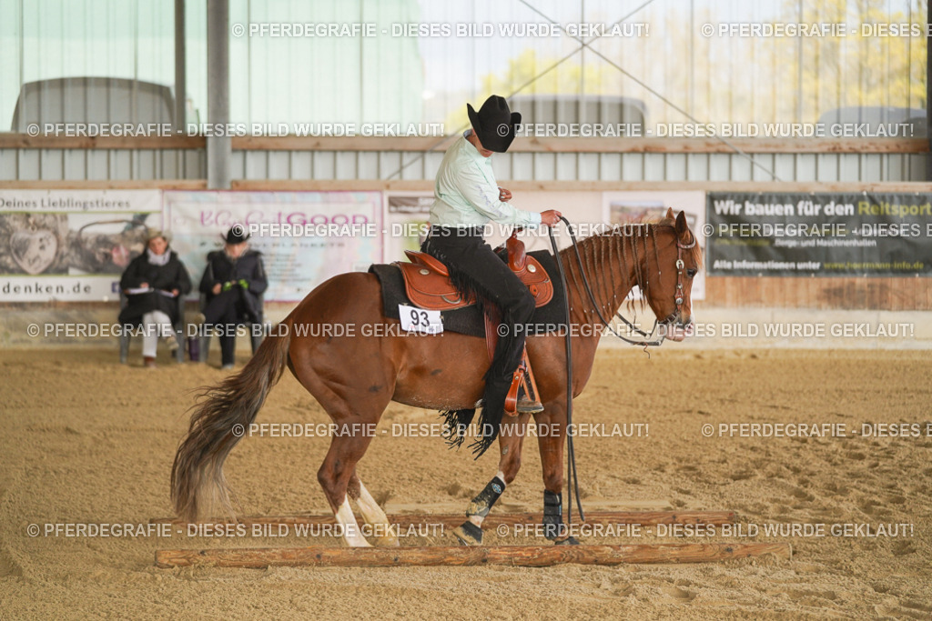 DSC03348 | Pferdegrafie