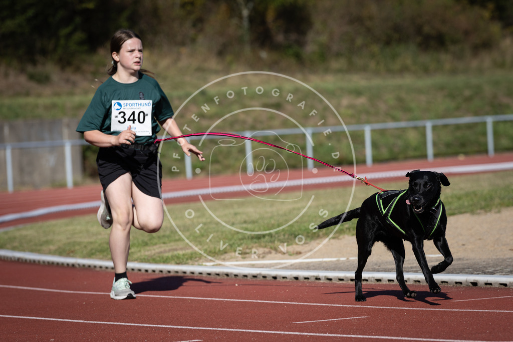 Pfotenfotografie_DV3A8095 | Hundefotografie, Tierfotograf, Pfotenfotografie, Fotoshooting Hund, Hunde Portrait, Hundesport, Hundeportraits, Heideshooting, Hunde, Sportfotograf, Hundefotograf, Turnierhundsport, THS,  - Realisiert mit Pictrs.com