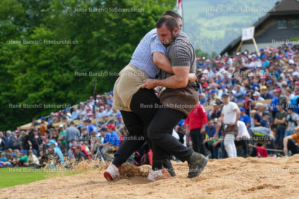RB_09404 | René Burch leidenschaftlicher Fotograf aus Kerns in Obwalden.  Hier finden sie Sport, Landschaft und Natur Fotografie.
 - Realisiert mit Pictrs.com