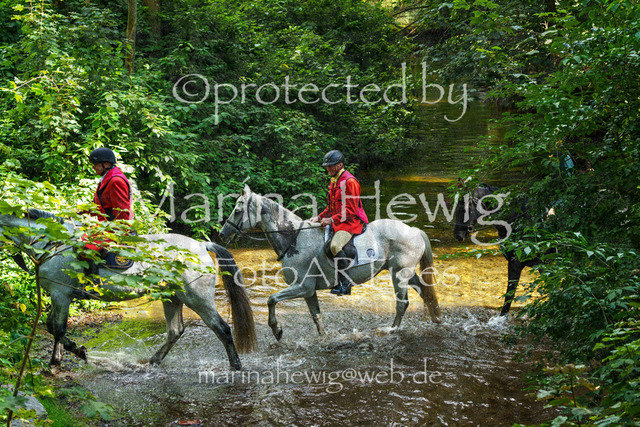 Jagd Perdoel_MarinaHewigMCH05116 | Fotografie, FotoArt, PferdesportArt, Pferdesportfotografie, Landschaftsfotografie, Reisefotografie, Reise, Pferde - Realisiert mit Pictrs.com