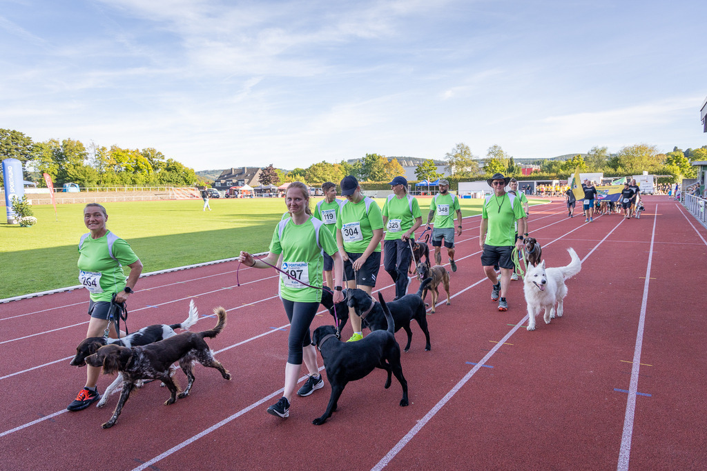 Pfotenfotografie_DV3A4222-2 | Hundefotografie, Tierfotograf, Pfotenfotografie, Fotoshooting Hund, Hunde Portrait, Hundesport, Hundeportraits, Heideshooting, Hunde, Sportfotograf, Hundefotograf, Turnierhundsport, THS,  - Realisiert mit Pictrs.com