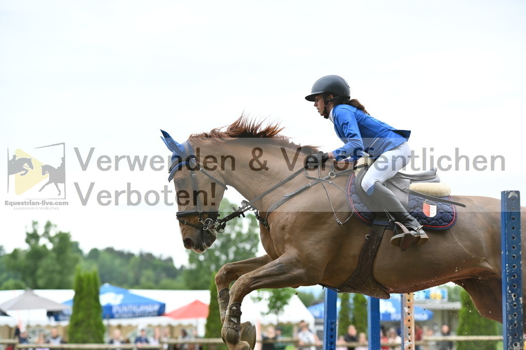 DSC_0549 | equestrian-live-com