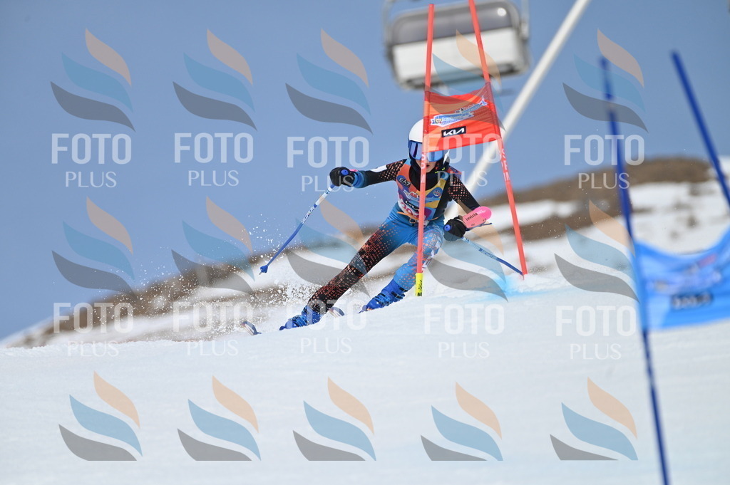 BGV_2617 | holidayphoto