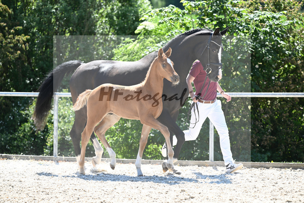 Kat-Nr. 9 HF Feliciano_Mueller_16230298 | hf-fotografie - Realisiert mit Pictrs.com