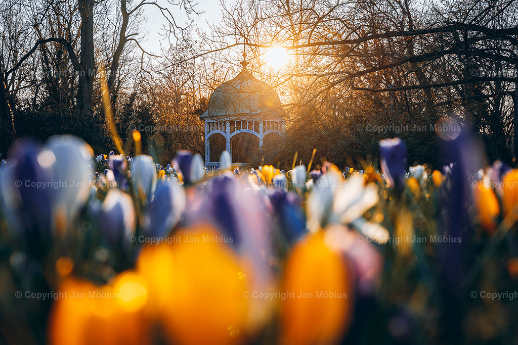 _DSC0441 | Leipzig Wandbilder Drucke Prints Leinwand Stadtmotive Leipzig Fotosdruck Kunstdrucke Bilder Leipzig Stadtansichten Acrylglasbilder Leipzig Wanddeko Fine Art Prints Wandbilder Büro Leipzig Bilder Praxis Zuhause Bilderdruck Poster Posterlounge Kunstdrucke - Realisiert mit Pictrs.com