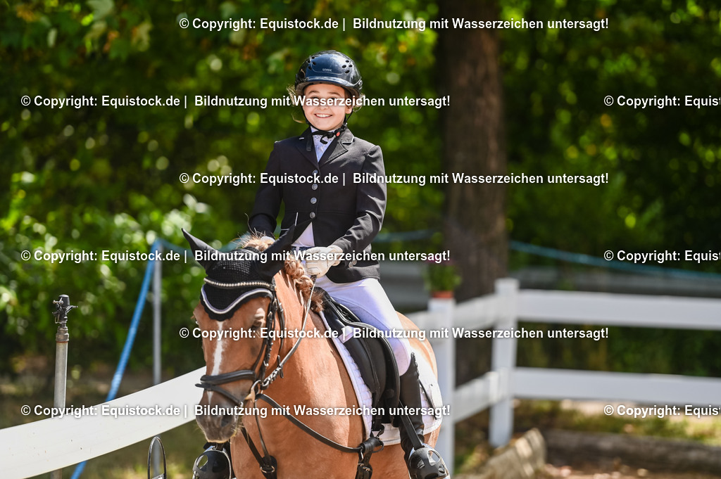 20230716_10-3_Reiter-WB Schritt - Trab - Galopp_0014 | equistock