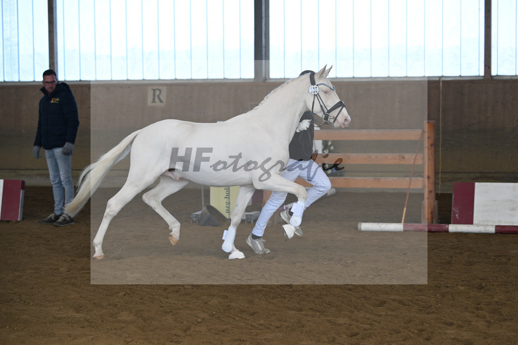 Kat-Nr. 5 EMR Gamarelli v. Giotto_Rupp_49250128 | hf-fotografie - Realisiert mit Pictrs.com