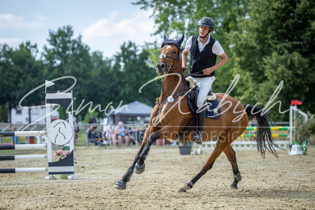 20260704-_3LI1615 | Tierfotografie Pferde, Hunde, Katzen, Haustiere.
Turnierfotografie Reitturniere, Reiten, Springreiten, Dressur in Hanau, dem Main-Kinzig-Kreis und dem Rhein-Main- Gebiet um Frankfurt