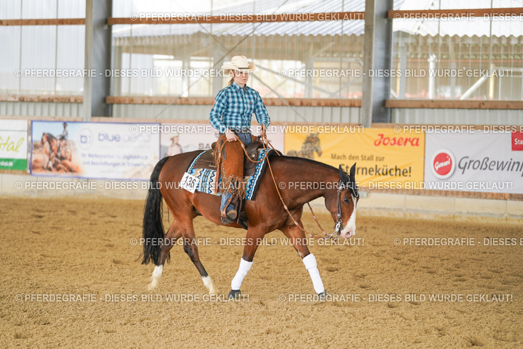 DSC02755 | Pferdegrafie