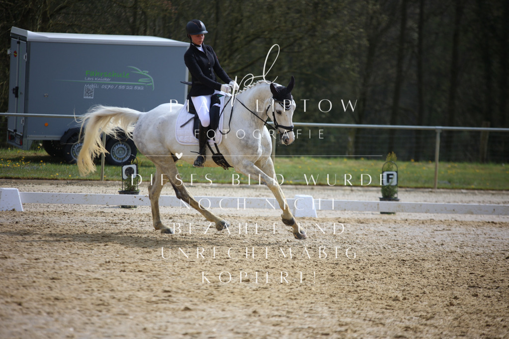 IMGT4832 | pl-fotografie