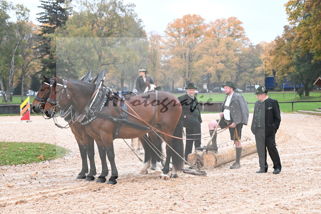 Schauprogramm_54222433 | hf-fotografie - Realisiert mit Pictrs.com