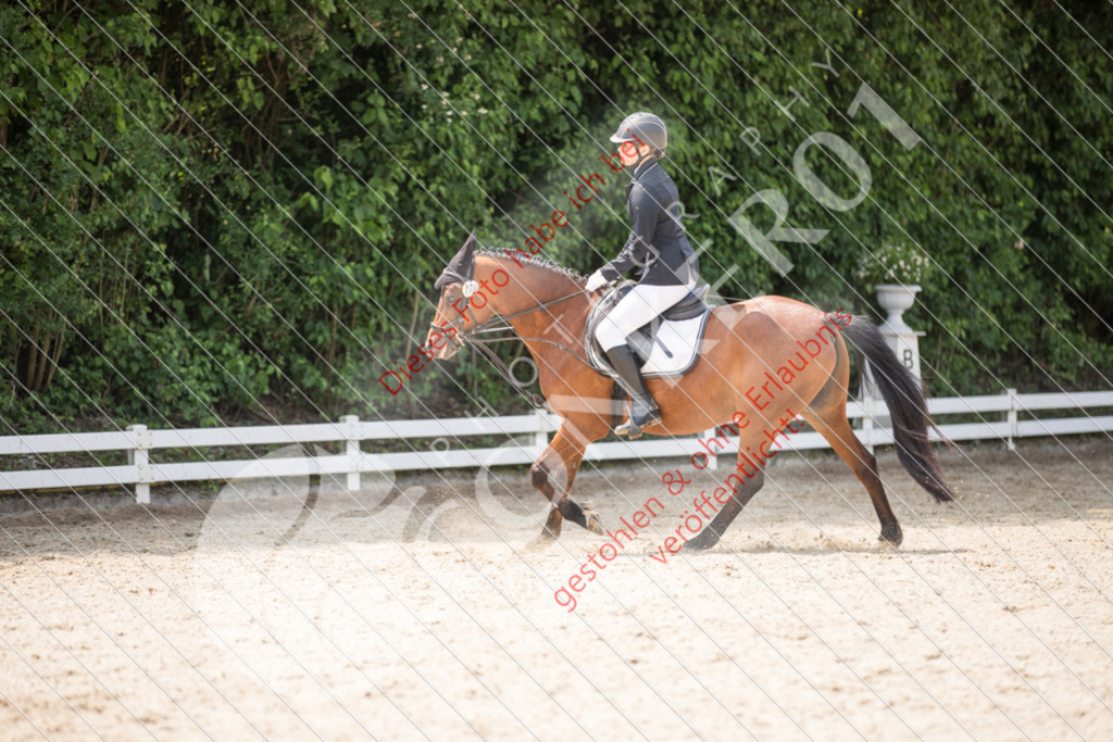 IMG_3545 | Sport-, Event- und Tierfotos in Profiqualität. Einfach auswählen, bestellen und herunterladen. Dein Moment – perfekt festgehalten.