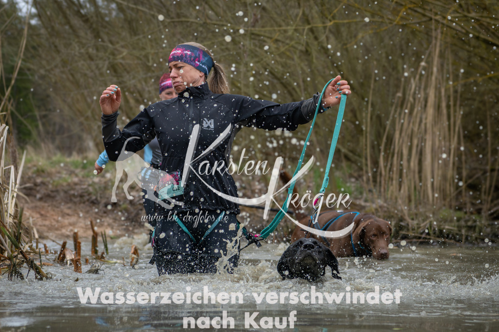 1340_ZZ91479 | kk-dogfotos