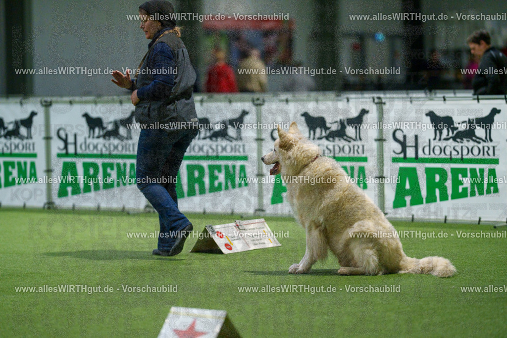 7R504174 | Professionelle Tierfotografie in Mönchengladbach von Daniel Wirth (allesWIRTHgut). Liebevolle & natürliche Bilder von Hunden & Katzen für unvergessliche Erinnerungen.