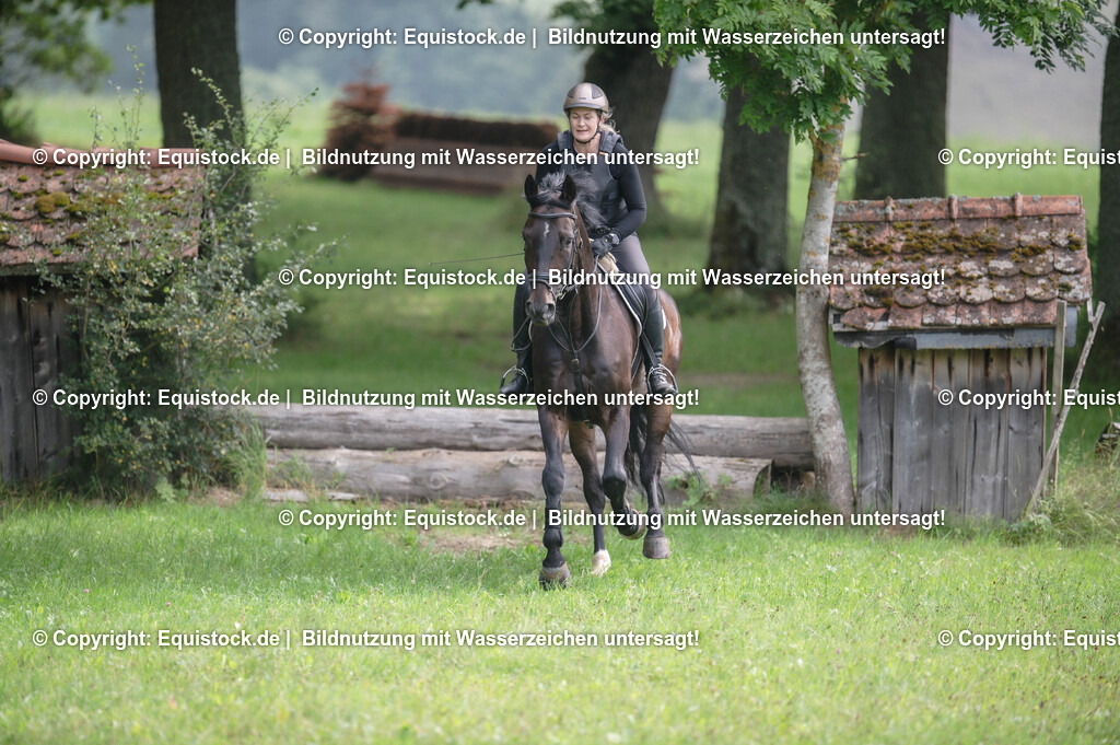 20250726_Vielseitigkeitslehrgang-Marbach_0385 | Foto: Thomas Hartig