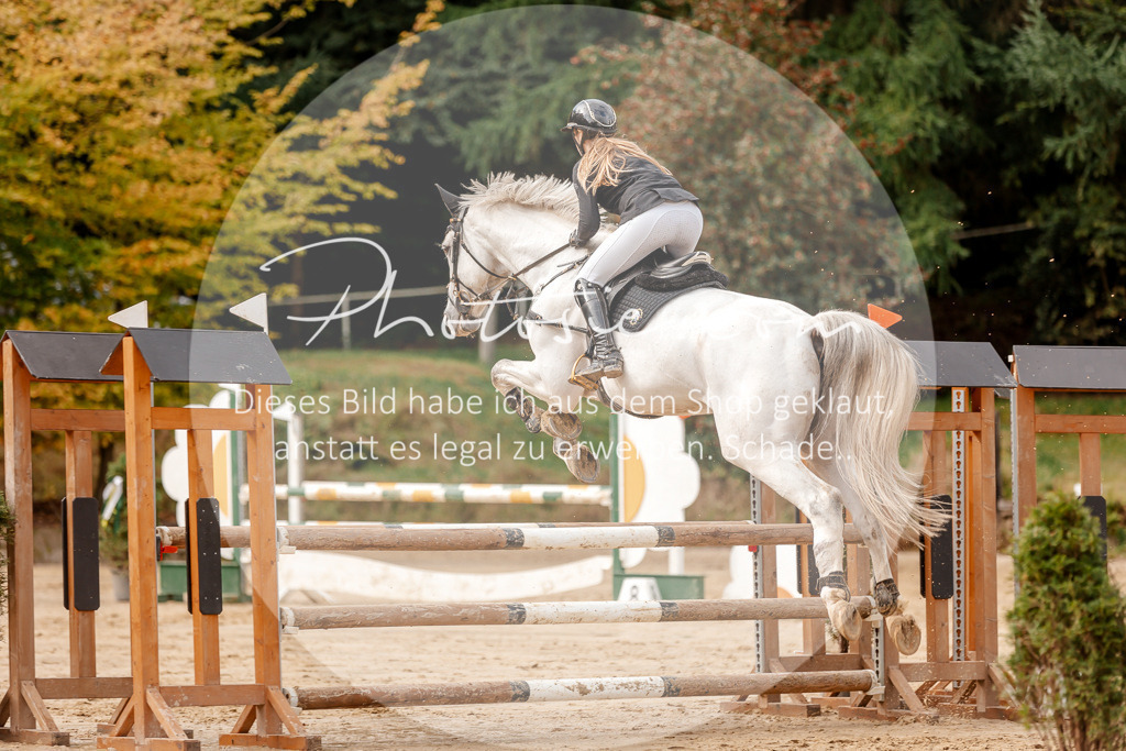 3I6A6796 | Stimmungsvolle Portraits und Reitsportfotografie im Ruhrgebiet und im Münsterland.

Pferdefotografie, Hundefotografie, Tierfotografie, Reportagen, Portraits von Tier und Mensch, Turnierfotografie in Bochum, Recklinghausen, Marl, Haltern am See, Dülmen.. - Realisiert mit Pictrs.com